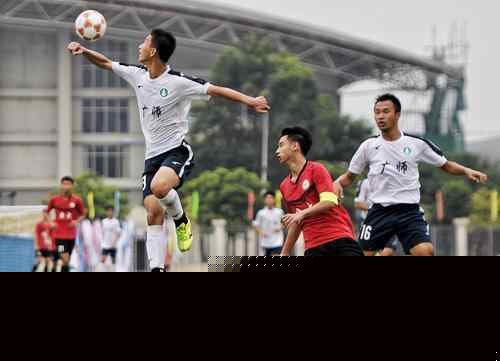 强强对决，拜仁本赛季德甲从未落后，勒沃库森每场都先进球（巅峰对决：拜仁本季德甲从未落后，勒沃库森场场先拔头筹）